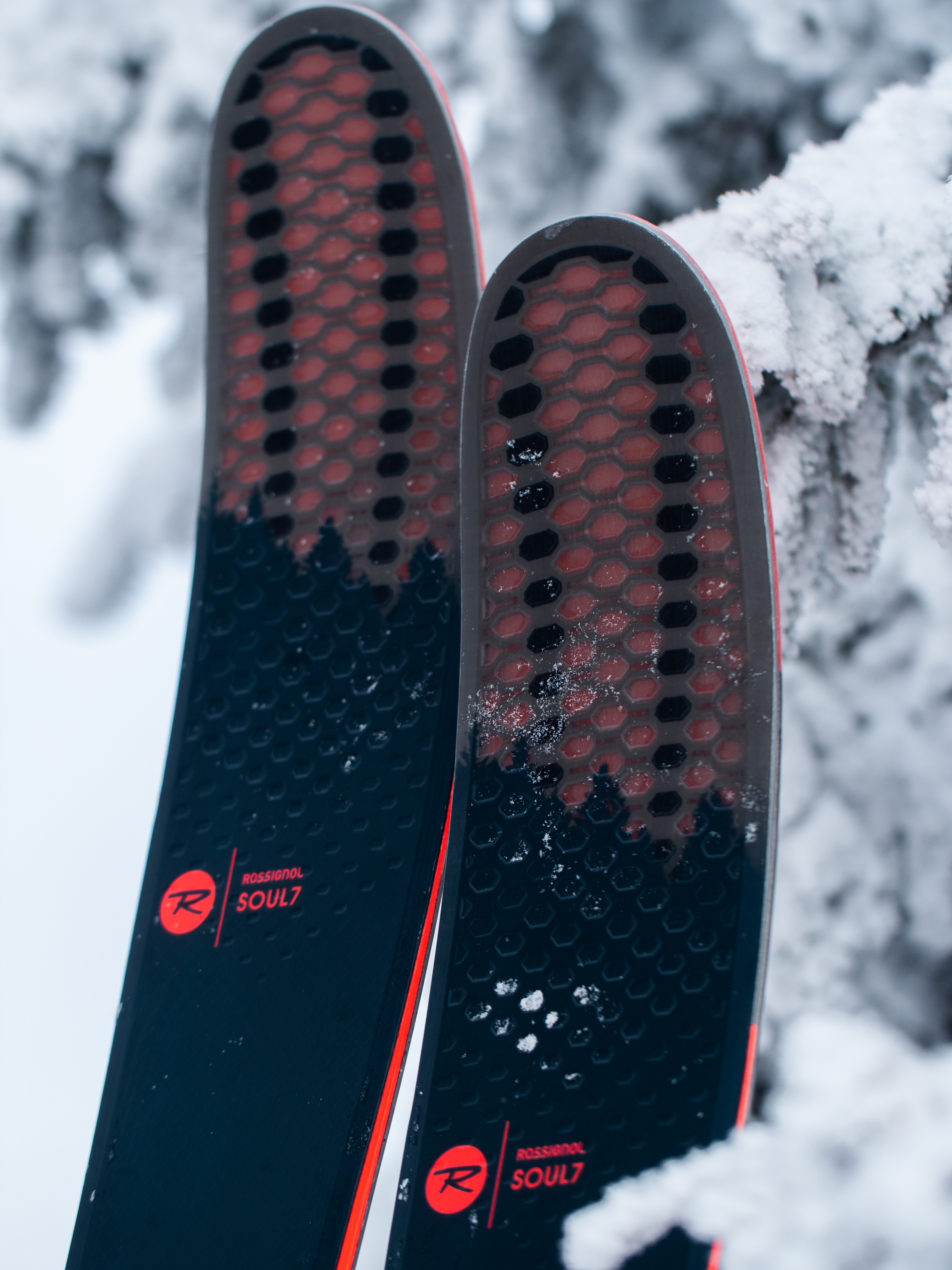 Rossignol online shop shop bg